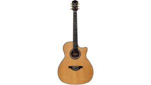 solid budget electric guitar