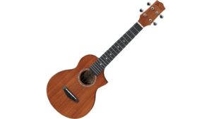 solid mahogany concert uke