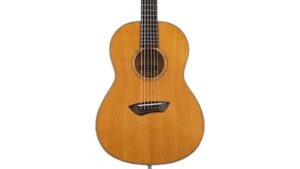 solid parlor acoustic electric