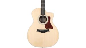 solid starter taylor guitar
