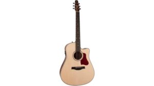 solid workhorse acoustic electric guitar