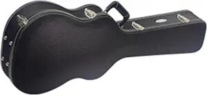 stagg deluxe hard case