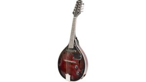 stagg m50e mandolin review