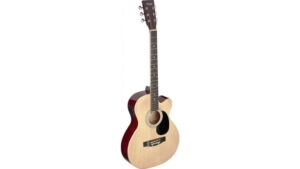 stagg sa20ace review