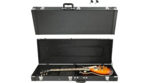 standard electric guitar case