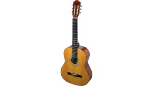 starter acoustic guitar set