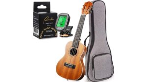 stringed instrument concert review