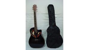 stringed instrument performance review