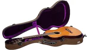 sturdy classical guitar case