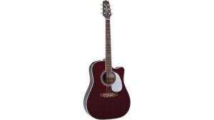 takamine pro series review