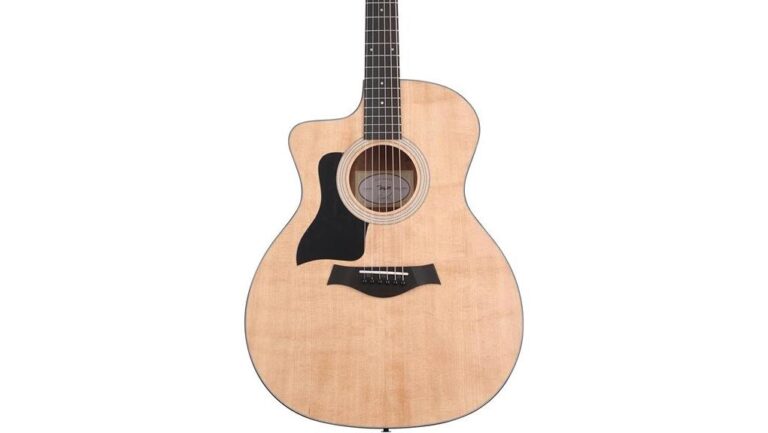 taylor lefty acoustic review