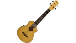 tenor ukulele with electronics