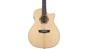 the author reviews washburn