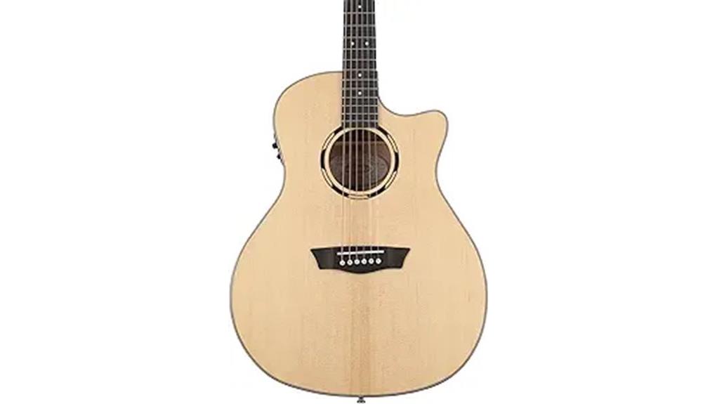 the author reviews washburn