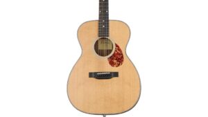 thinline acoustic electric guitar