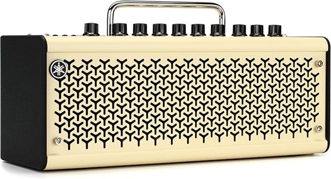 tiny amp massive sound