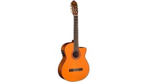 traditional acoustic electric guitar
