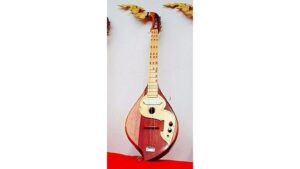 traditional thai electric lute