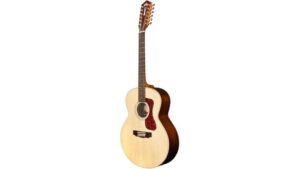 twelve string acoustic electric guitar