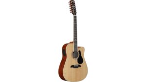 twelve string acoustic electric