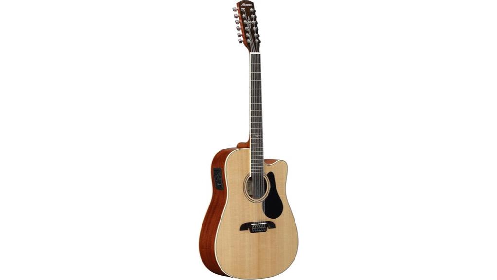 twelve string acoustic electric