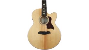 twelve string acoustic electric review