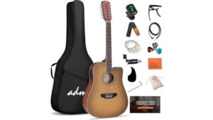 twelve string acoustic electric