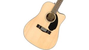 twelve string acoustic electric