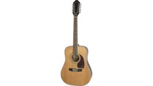 twelve string dreadnought guitar