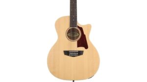 twelve string electric guitar review