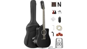 twelve string guitar review