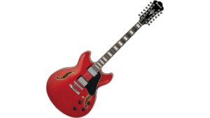 twelve string hollow body
