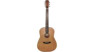 ukrainian trembita suncity guitar