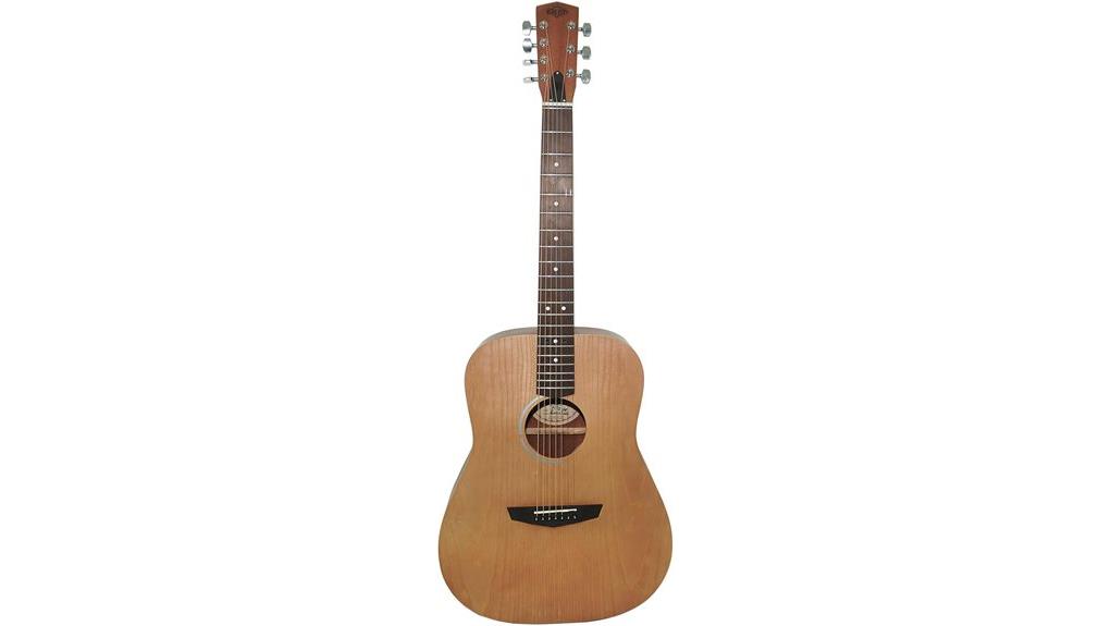 ukrainian trembita suncity guitar