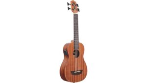 ukulele bass acoustic electric
