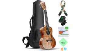 ukulele review concert hricane