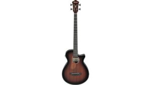 versatile acoustic electric bass option