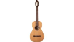 versatile electric acoustic hybrid