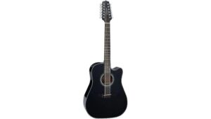 versatile twelve string acoustic electric