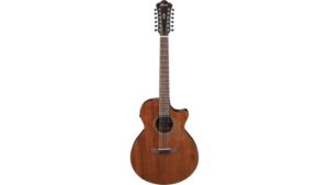 versatile twelve string workhorse