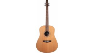 vintage acoustic guitar review