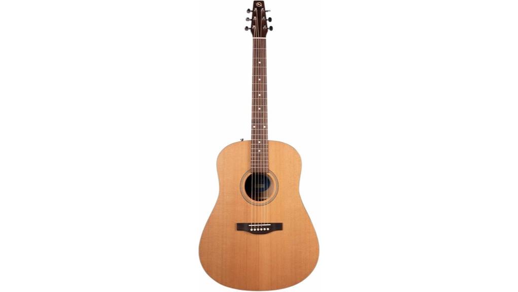 vintage acoustic guitar review