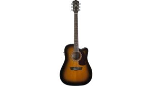 washburn heritage ten review