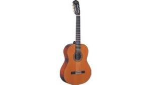 washburn oc9 value review