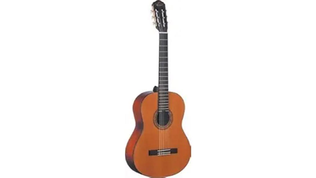 washburn oc9 value review