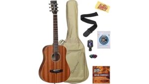 winterleaf acoustic guitar review